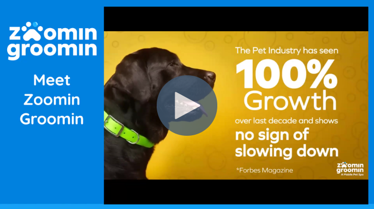 Meet ZG black lab growth